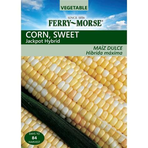 jackpot sweet corn reviews